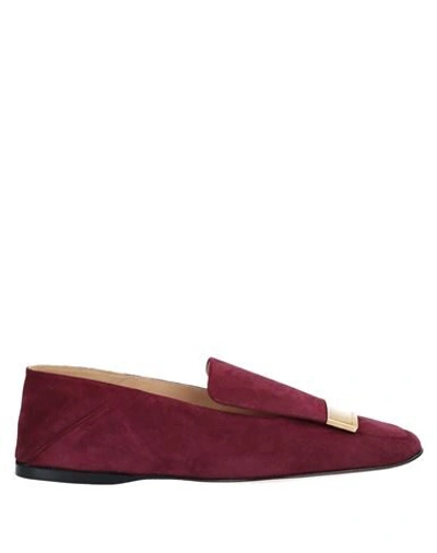 Shop Sergio Rossi Loafers In Maroon