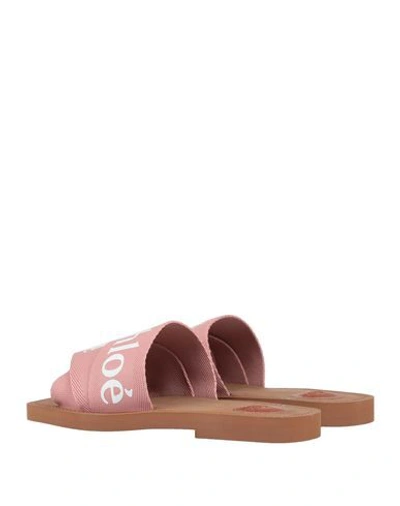 Shop Chloé Sandals In Pink