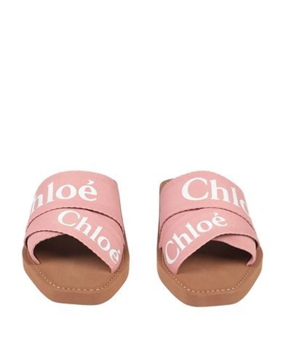 Shop Chloé Sandals In Pink