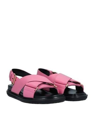 Shop Marni Sandals In Pink