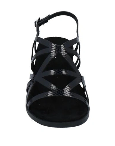 Shop Maria Mare Woman Sandals Black Size 4 Textile Fibers