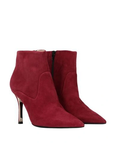 Shop Furla Code Ankle Boot T.90 Woman Ankle Boots Burgundy Size 8 Ovine Leather In Red