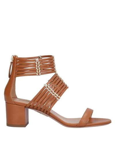 Shop Aquazzura Woman Sandals Brown Size 7.5 Calfskin