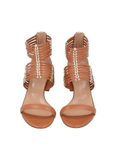 Shop Aquazzura Woman Sandals Brown Size 7.5 Calfskin