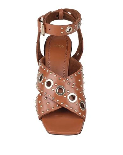 Maje Ferma Eyelet-embellished Leather Sandals In Brown