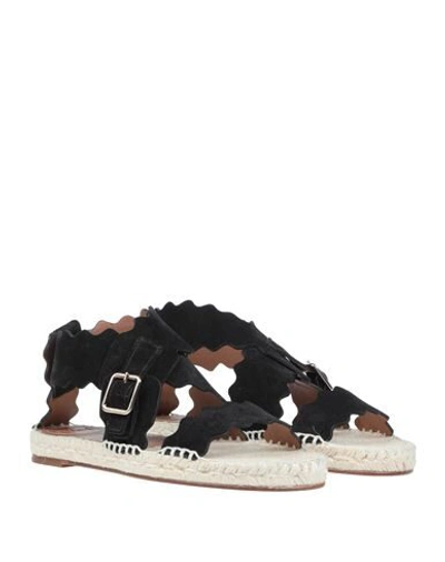 Chloé Sandals In Black