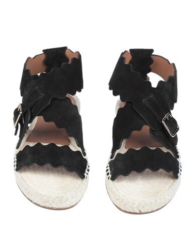 Chloé Sandals In Black