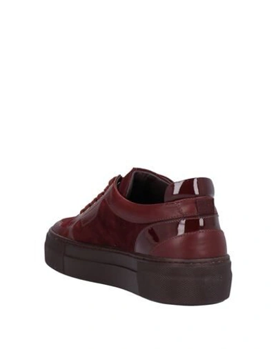 Shop Magli By Bruno Magli Sneakers In Maroon