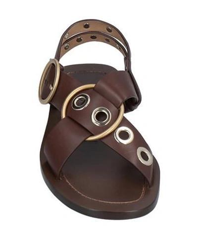 Shop Joseph Woman Sandals Dark Brown Size 9.5 Soft Leather