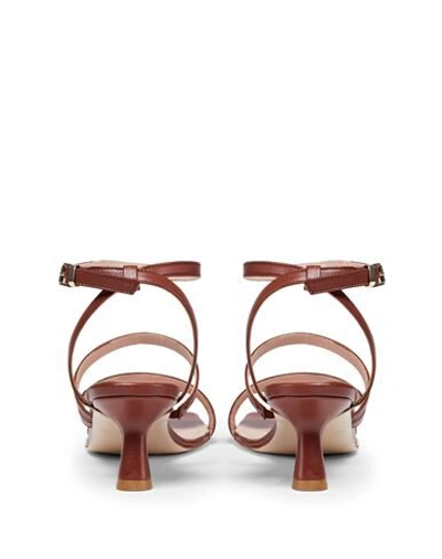 Shop 8 By Yoox Leather Square Toe Spool-heel Sandal 50 Woman Sandals Tan Size 10 Ovine Leather In Brown