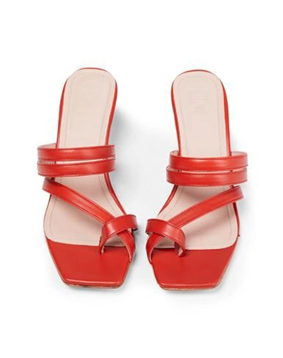 Shop 8 By Yoox Leather Almond Toe-post Sandal 50 Woman Thong Sandal Rust Size 8 Ovine Leather In Red