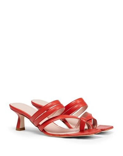 Shop 8 By Yoox Leather Almond Toe-post Sandal 50 Woman Thong Sandal Rust Size 8 Ovine Leather In Red