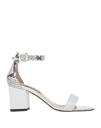 Shop Alberto Zago Sandals In White