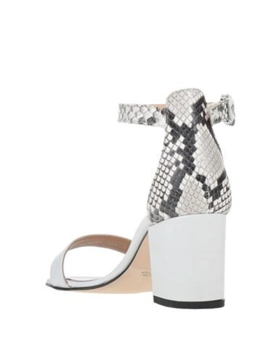 Shop Alberto Zago Sandals In White