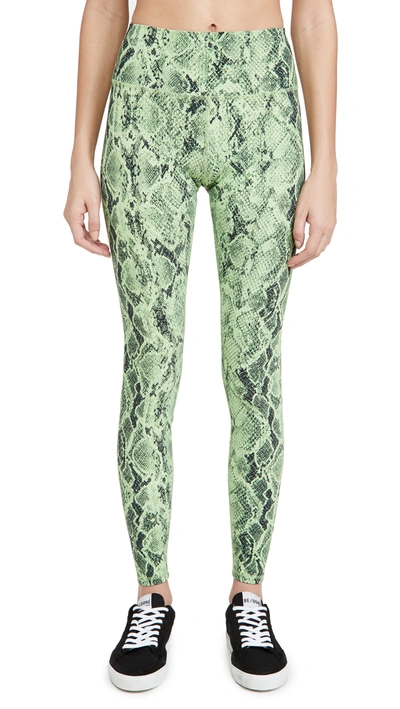 Shop Alo Yoga High Waist Snake Leggings In Neon Lime