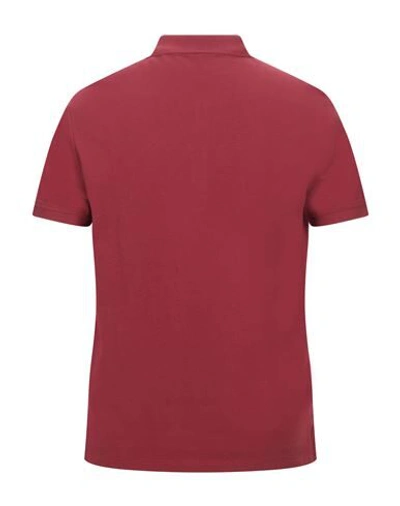 Shop Emporio Armani Man Polo Shirt Brick Red Size S Cotton