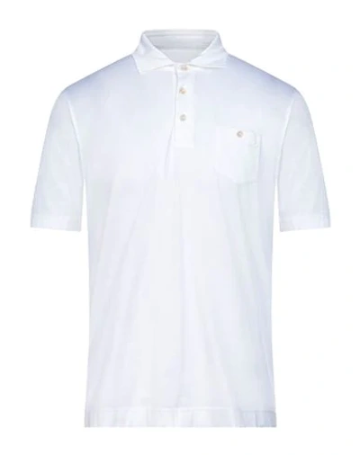 Shop Circolo 1901 1901 Polo Shirts In White
