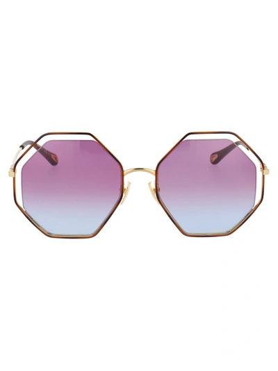 Shop Chloé Ch0046s Sunglasses In 003 Havana Gold Violet