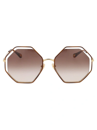 Shop Chloé Ch0046s Sunglasses In 001 Havana Gold Brown