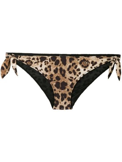 Shop Dolce & Gabbana Animalier Bikini Slip In Brown