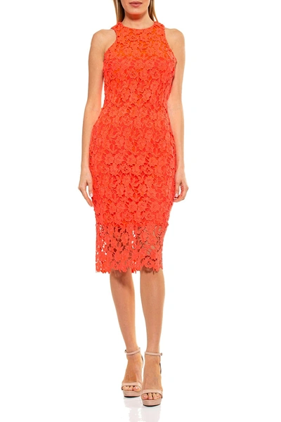 Shop Alexia Admor Floral Crochet Lace Midi Dress In Coral