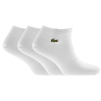 Shop Lacoste Sport Three Pack Socks White