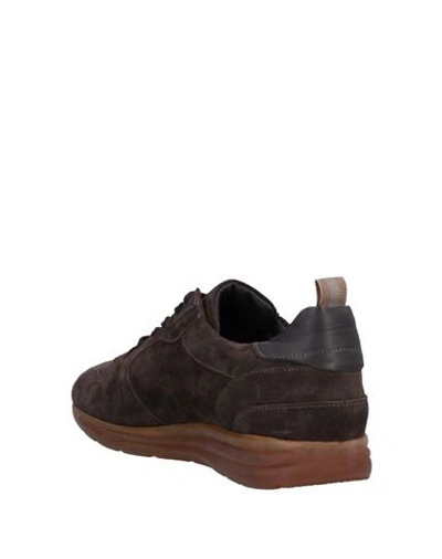 Shop Alexander Hotto Sneakers In Dark Brown