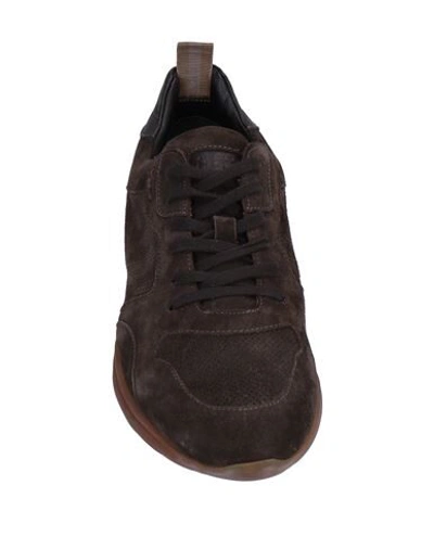 Shop Alexander Hotto Sneakers In Dark Brown