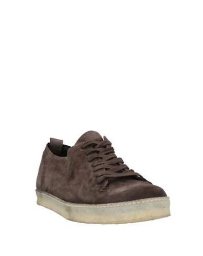 Shop Alexander Hotto Sneakers In Dark Brown