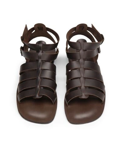 Shop 8 By Yoox Leather Gladiator Sandal Man Sandals Dark Brown Size 8 Calfskin