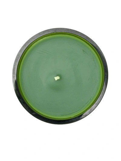 Shop Diptyque Figuier 300 Candle In Green