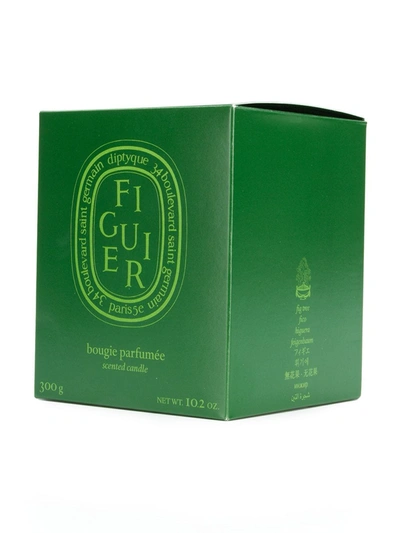 Diptyque Figuier Scented Green Candle 300 G In Green