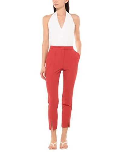 Shop Dixie Pants In Red