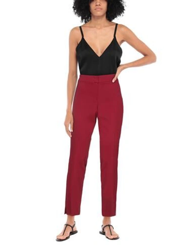 Shop Emporio Armani Woman Pants Garnet Size 8 Viscose, Virgin Wool, Elastane In Red