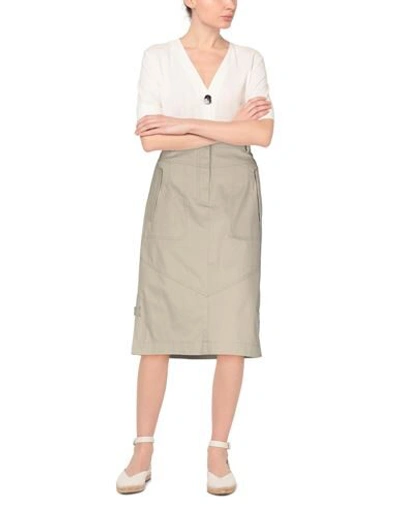 Alberta Ferretti Midi Skirts In Beige