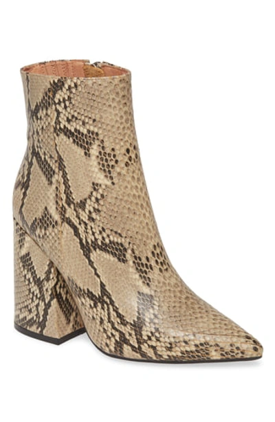 Shop Alias Mae Ahara Pointed Toe Bootie In Beige Snake