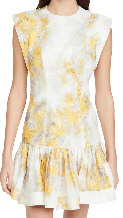 Shop Zimmermann Botanica Flounce Short Dress In Wattle Print