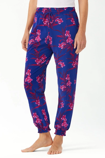Tommy bahama joggers hotsell