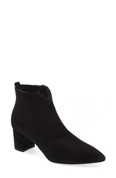 Shop Agl Attilio Giusti Leombruni Notch Bootie In Black Suede