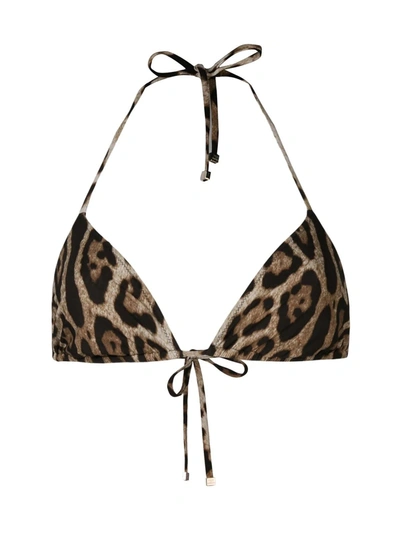 Shop Dolce & Gabbana Leopard Print Triangle Bikini Top In Multicolour