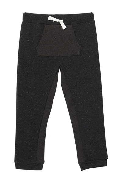 Shop Andy & Evan Knit Jogger Pant In Black