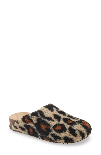 Shop Steve Madden Vesa Faux Shearling Clog In Leopard Print
