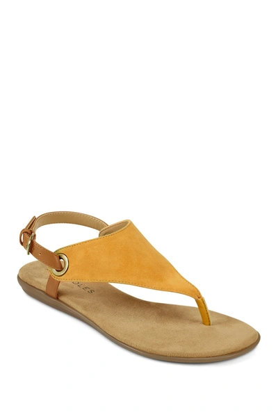Shop Aerosoles In Conchlusion Casual Sandal In Yellsuede
