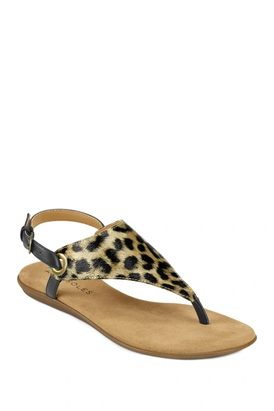 Shop Aerosoles In Conchlusion Casual Sandal In Leopard