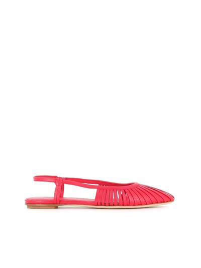 Shop Del Carlo Ballerina 11101 In Red