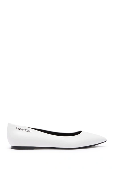 Shop Calvin Klein Aliyah Pointed Toe Flat In Whill