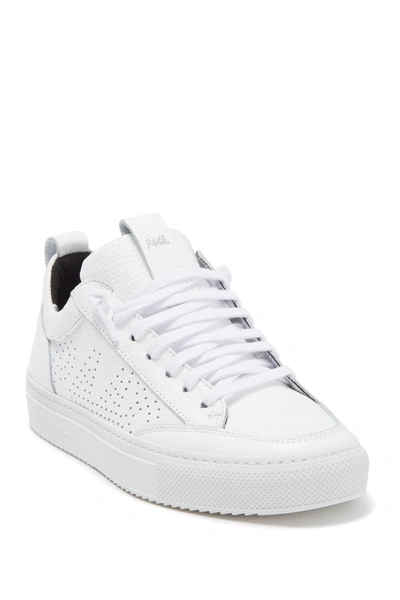 Shop P448 Soho Sneaker In White