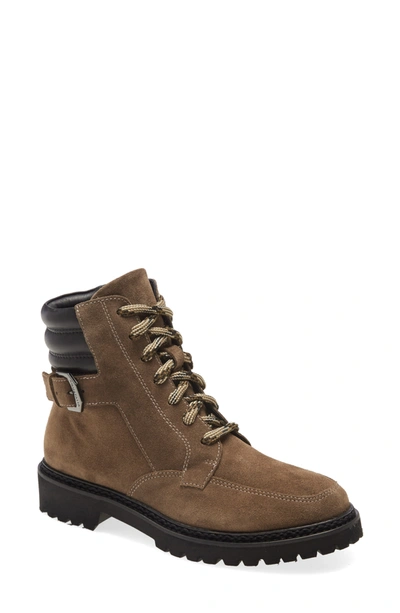 Shop Aquatalia Mayra Weatherproof Lace-up Boot In Taupe/ Black