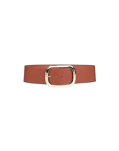 Shop Liviana Conti Belts In Brown