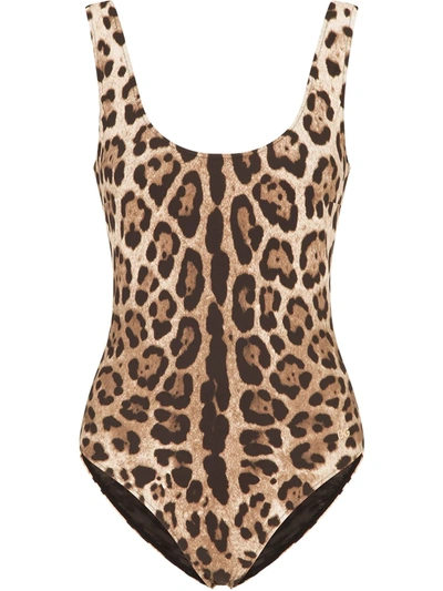 Shop Dolce & Gabbana Leopard-print Scoop-back Swimsuit In Brown